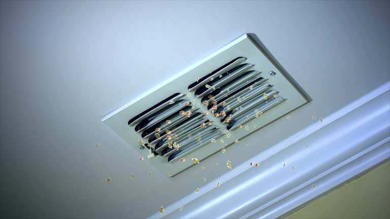 Best Best Air Duct Cleaning Company  in Borrego Springs, CA